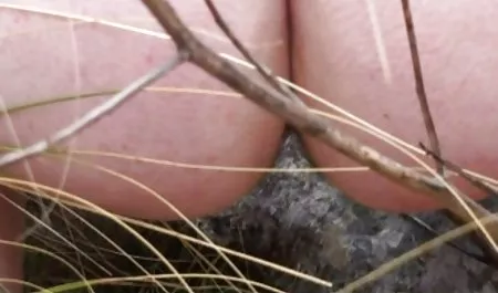 Mama erotik film online geile dominante und dominante stiefmutter in hosenträgern fickt einen ungezogenen jungen mann