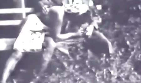 Hollywood Wicky erotik kino film Chase