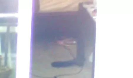 Zwei Teenager aus erotik filme ab 18 Ebenholz machen Sexgefühl